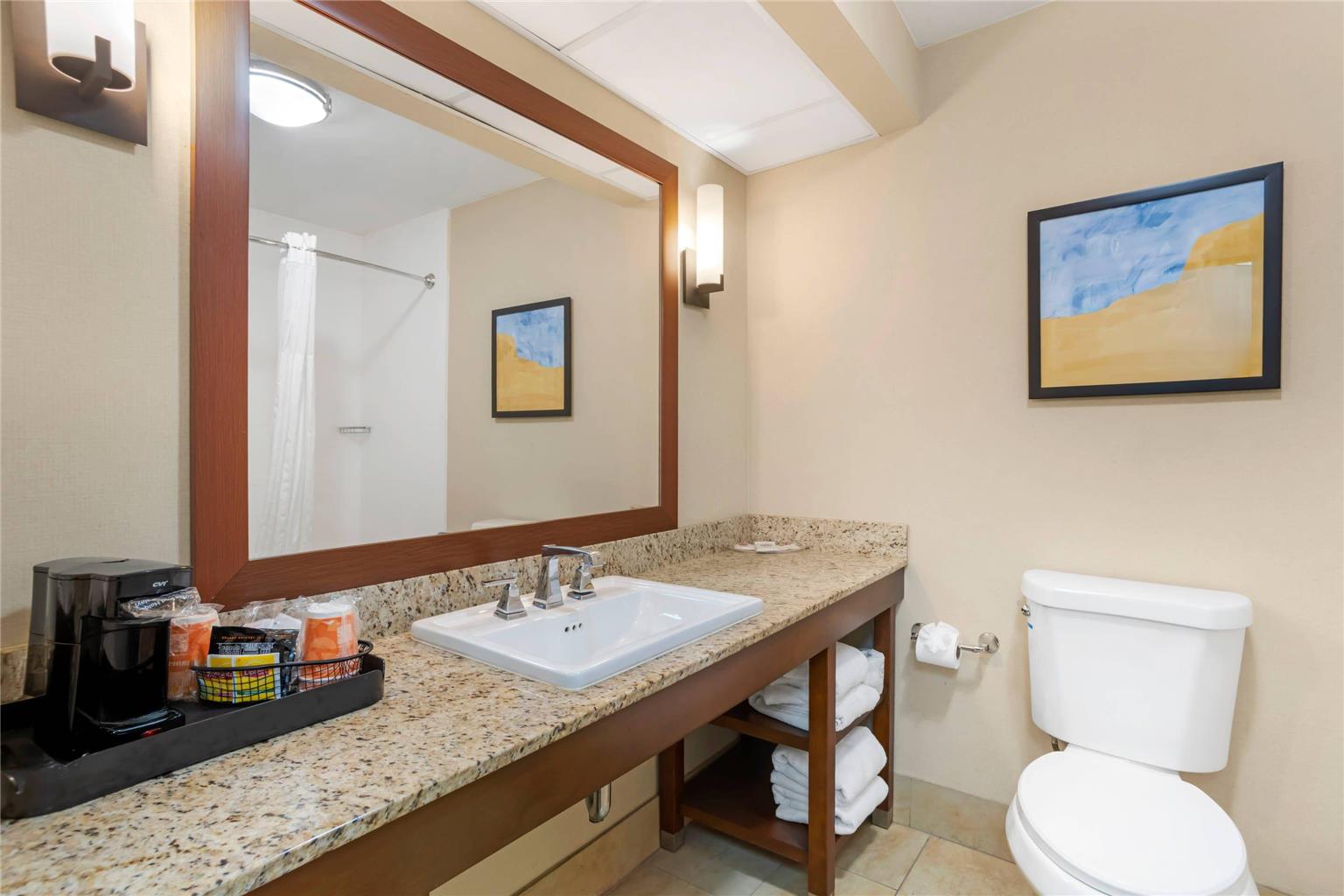 Comfort Suites Gastonia Charlotte - photo 6