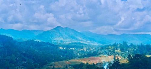 Blue mountain view resort - last minute hotel in Unknown City
