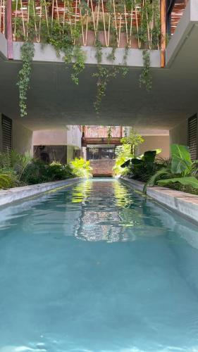 Jungle Luxury Romantic Beach Club private pool — 4-Star Luxury Hotel in Tulum, Mexico