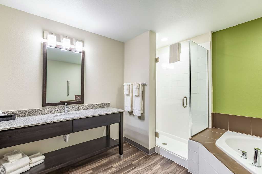 Sleep Inn & Suites Mt. Hope near Auction & Event Center - photo 29