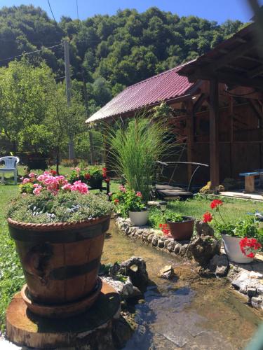 Domacinstvo Ubovic in Sipovo, Bosnia and Herzegovina