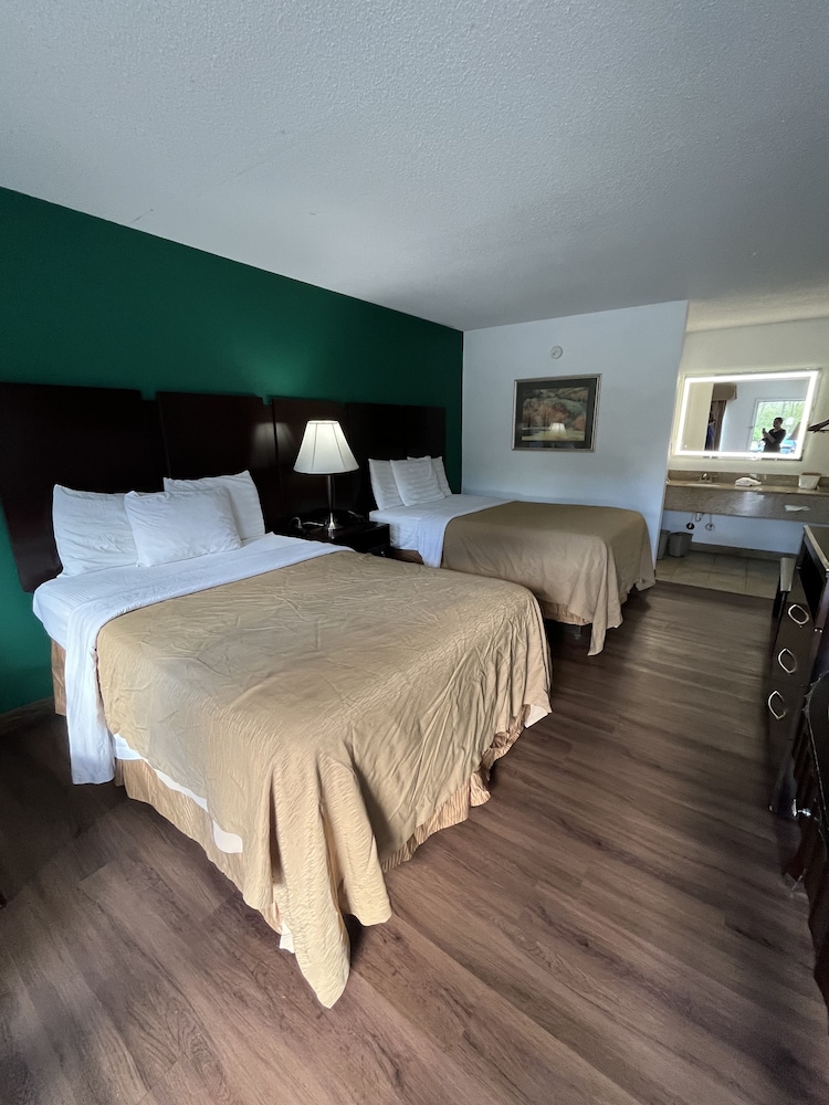 Pine Tree Inn - photo 9