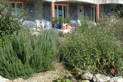 Lavandes Et Roses En Quercy — Saint Cernin