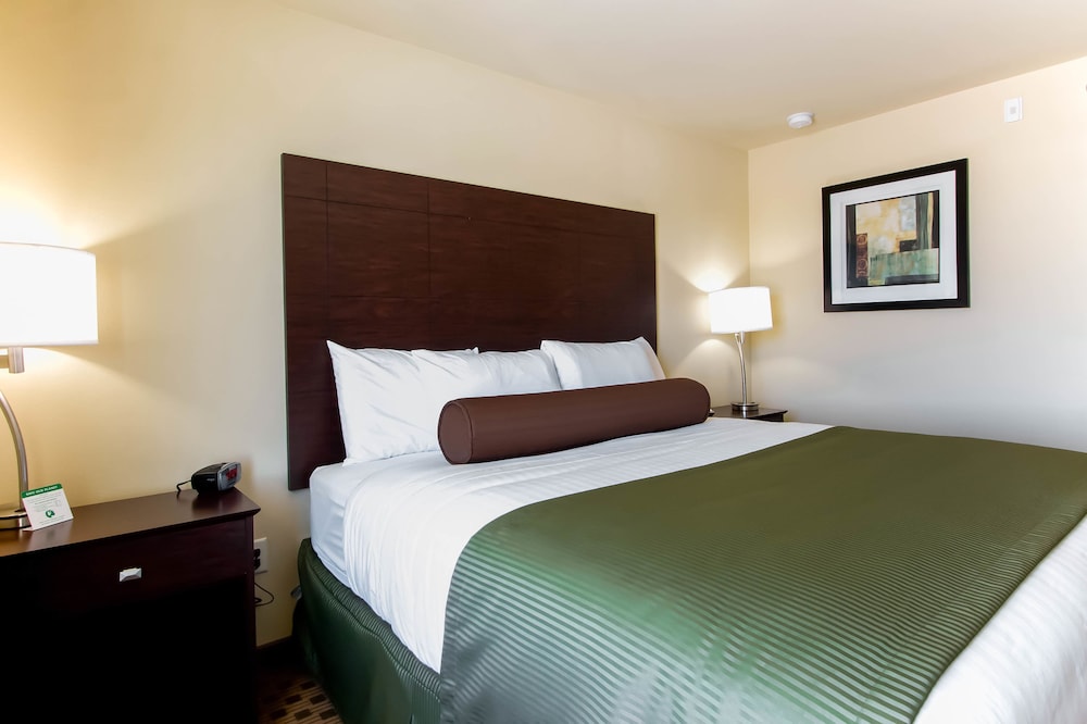 Cobblestone Inn & Suites Eads - photo 7