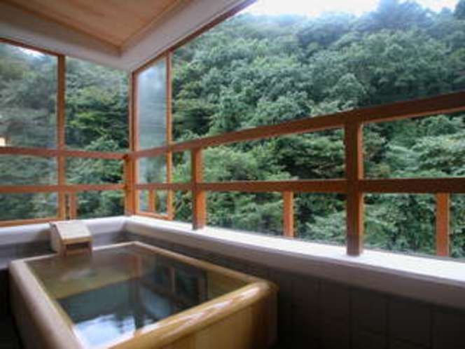 Yumoto Shimakan — hotel in Nakanojomachi