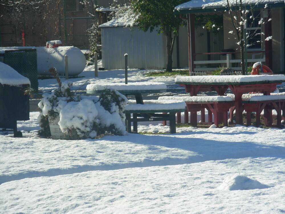 Jumping Frog Motel - photo 26