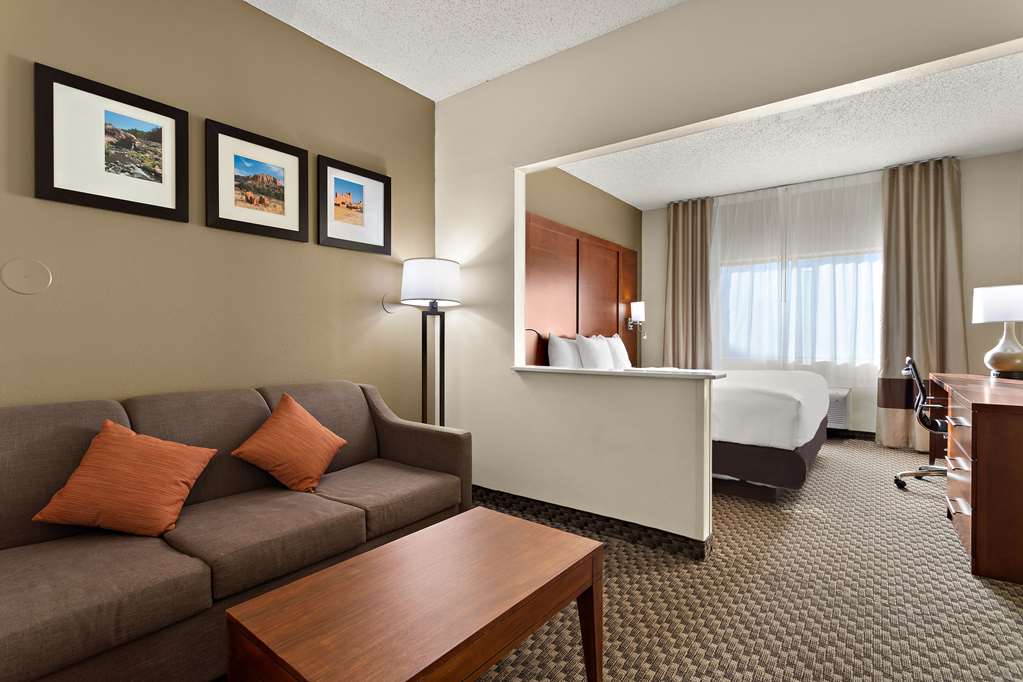 Comfort Suites University Las Cruces - photo 22