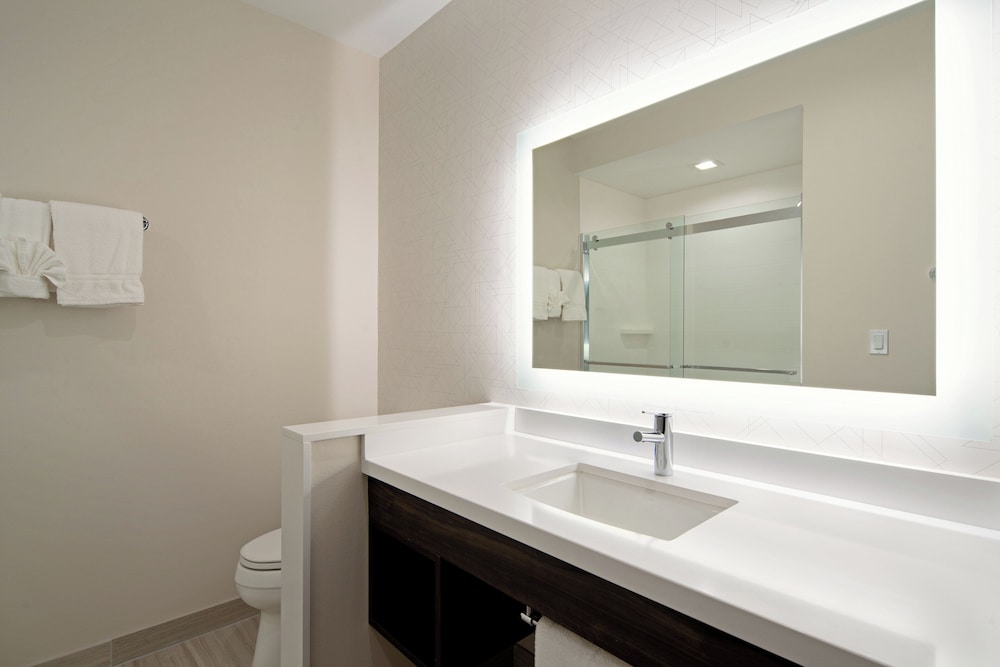 Holiday Inn Express & Suites Valencia Santa Clarita by IHG - photo 21