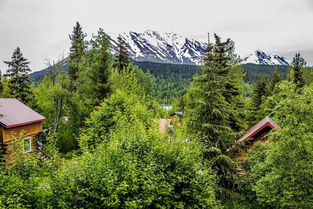 Midnight Sun Log Cabins - photo 68