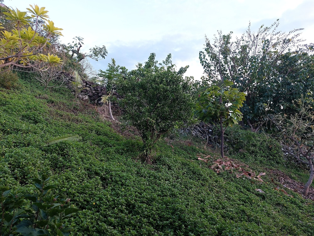 Kona Palace in Captain Cook - photo 21