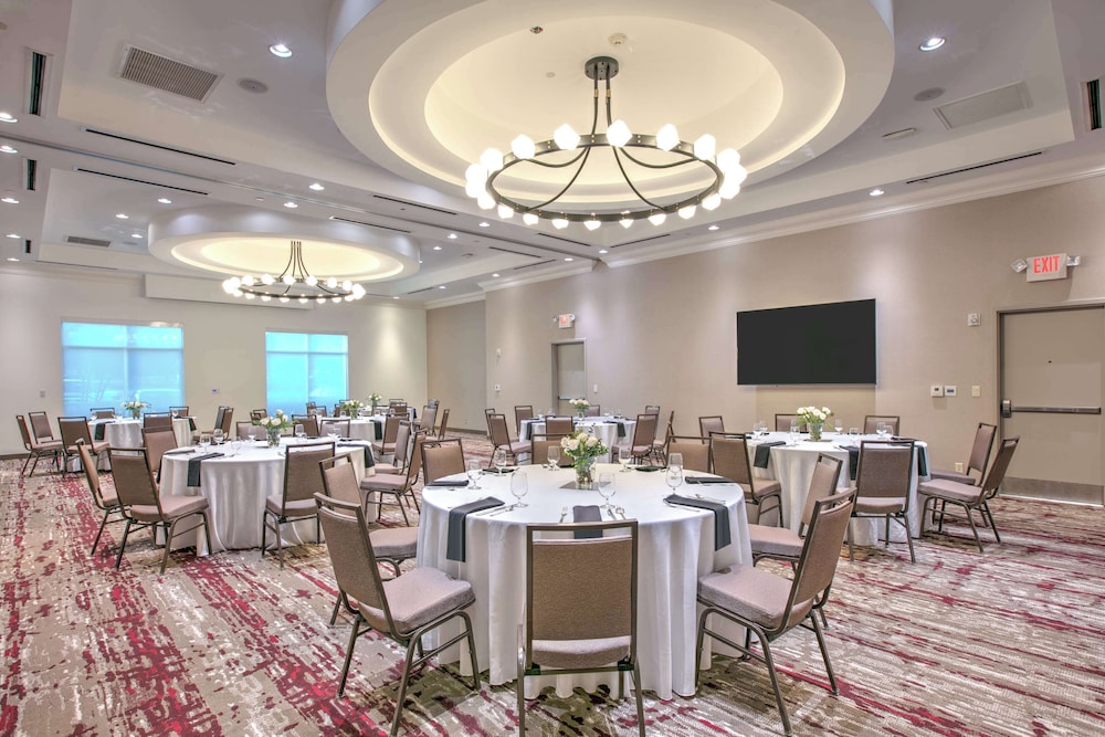 Hilton Garden Inn Dallas Arlington - photo 41