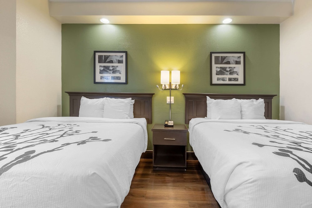 Sleep Inn Sumter - photo 3