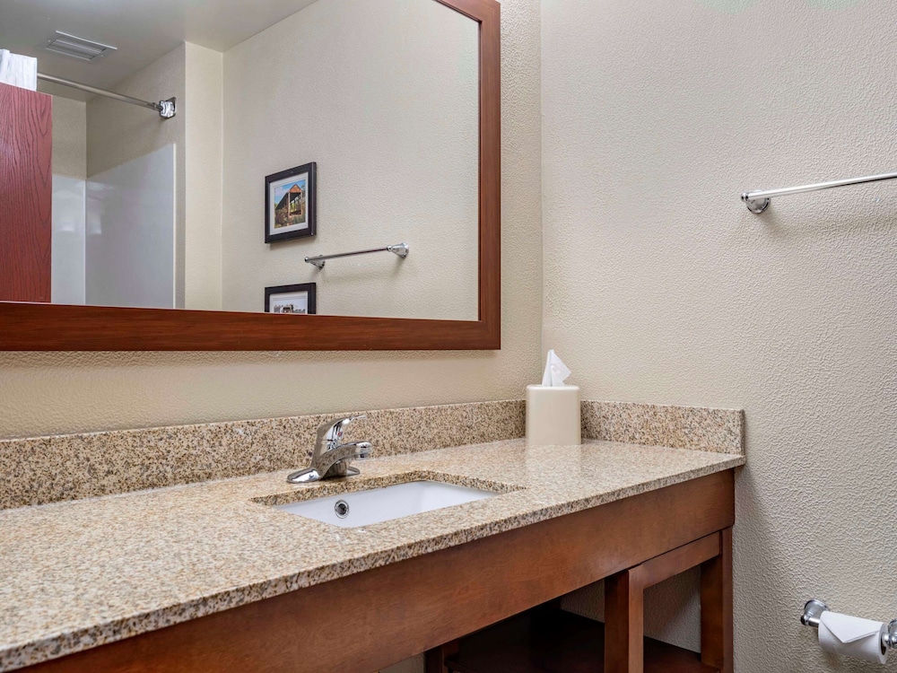 Comfort Inn Duncansville Altoona - photo 15
