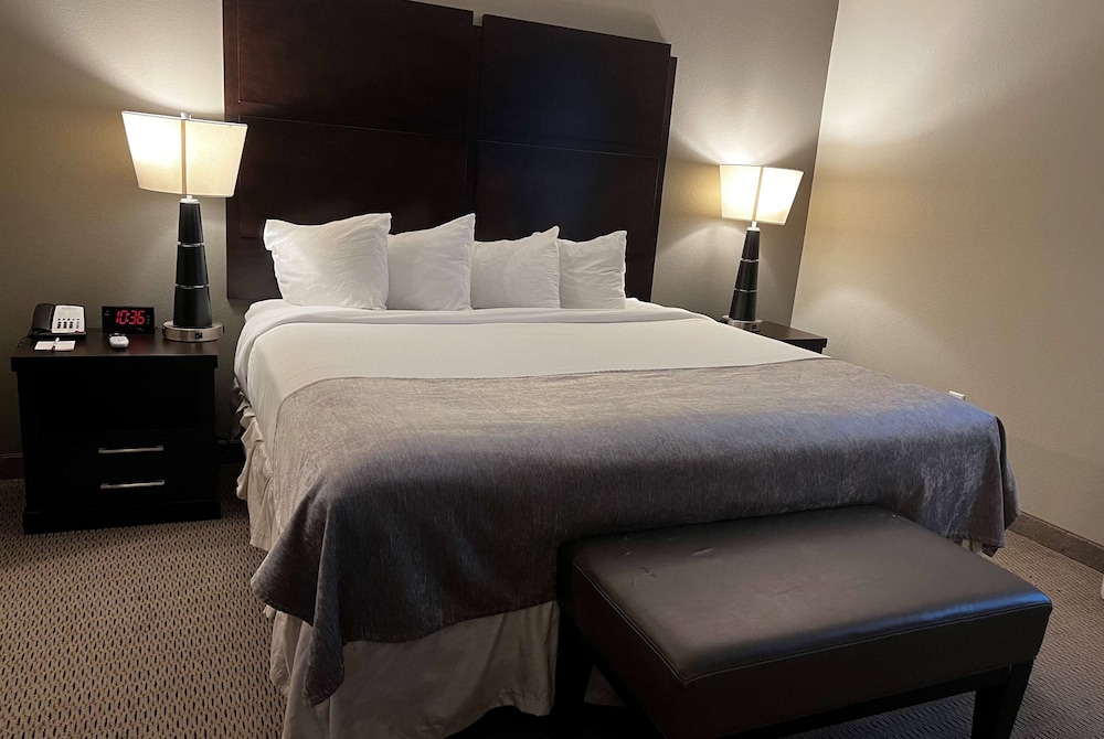 Baymont by Wyndham College Station - photo 23