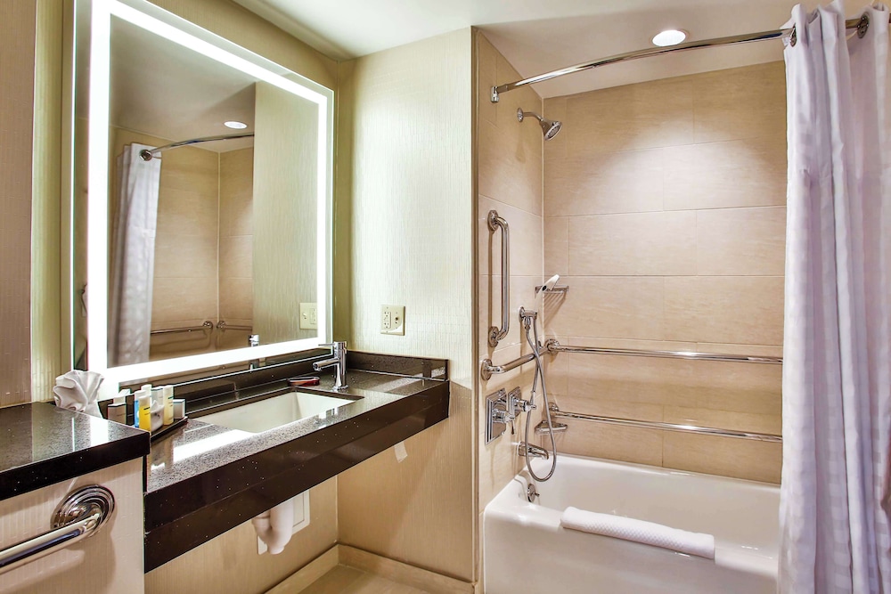 Embassy Suites by Hilton Chicago Downtown Magnificent Mile - photo 32
