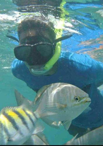 Key Largo Paradise in Key Largo, United States