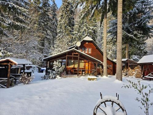 Fabian Kulcsoshaz in Izvoare, Romania