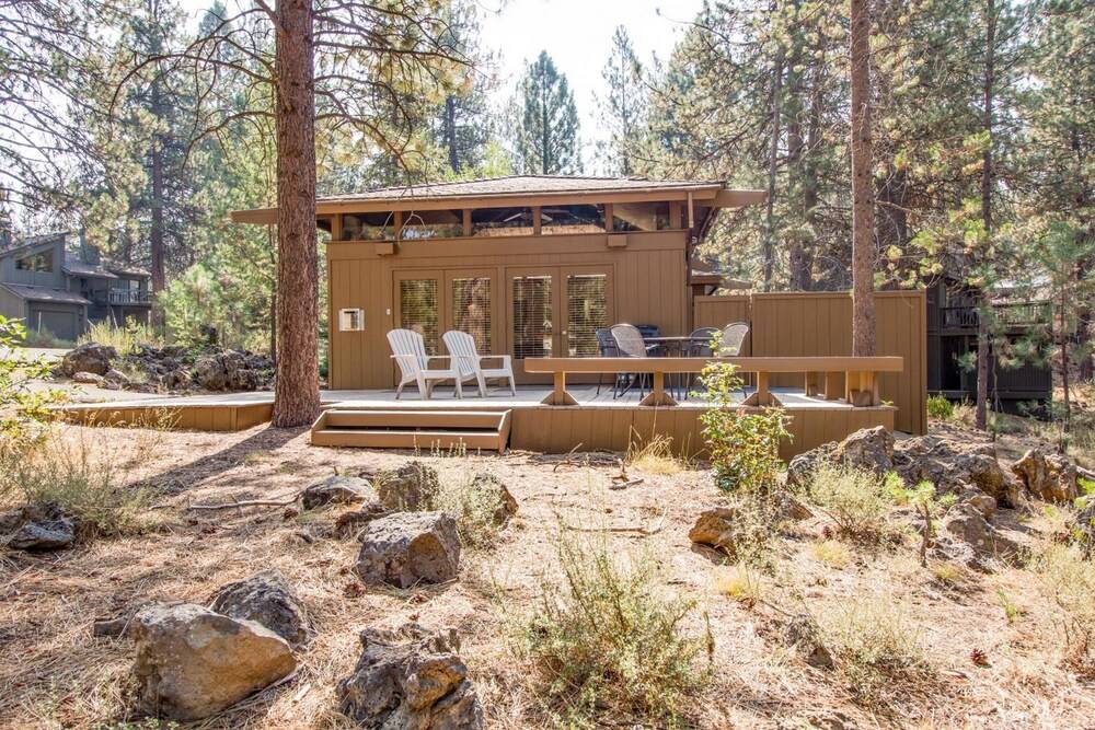 Coyote 20 - photo 16