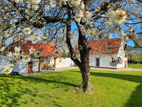 Ferienhaus Berta - last minute hotel in Sassnitz