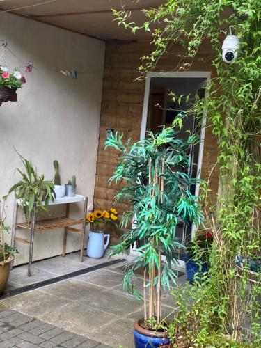 Hillside Launceston Cornwall in Launceston, United Kingdom