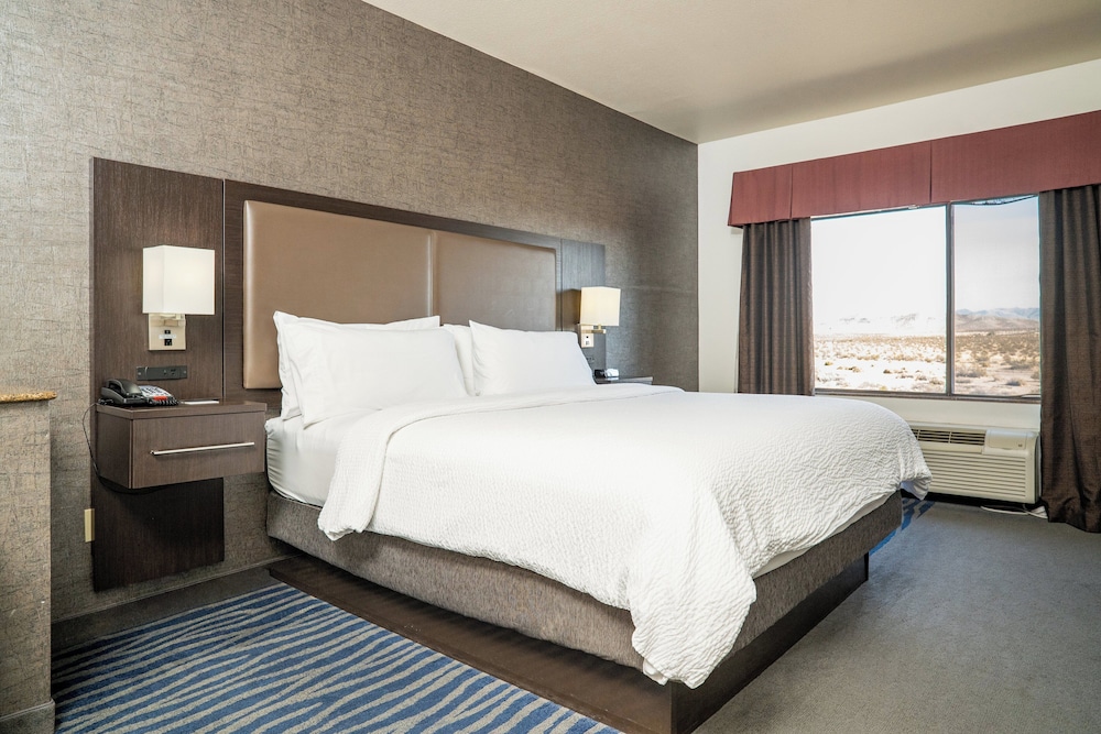 Holiday Inn Express & Suites Barstow Route 66 by IHG - photo 26
