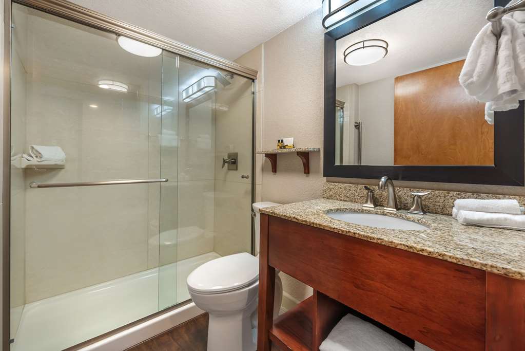Best Western Plus Peak Vista Inn & Suites - photo 43