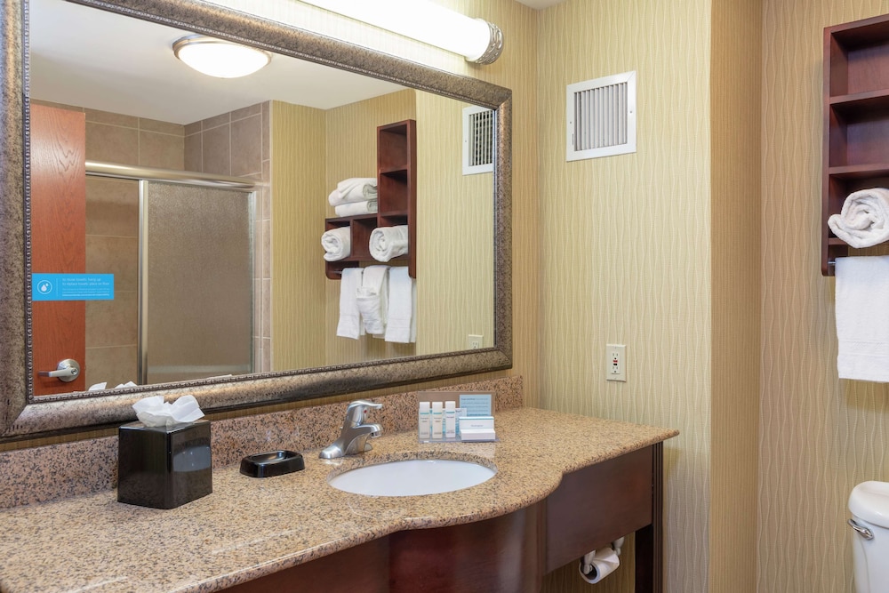 Hampton Inn East Lansing - photo 31