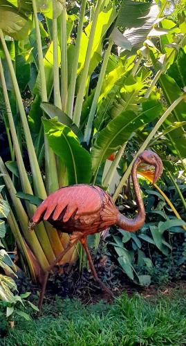 Flamingo résidence — Toliara — photo 4