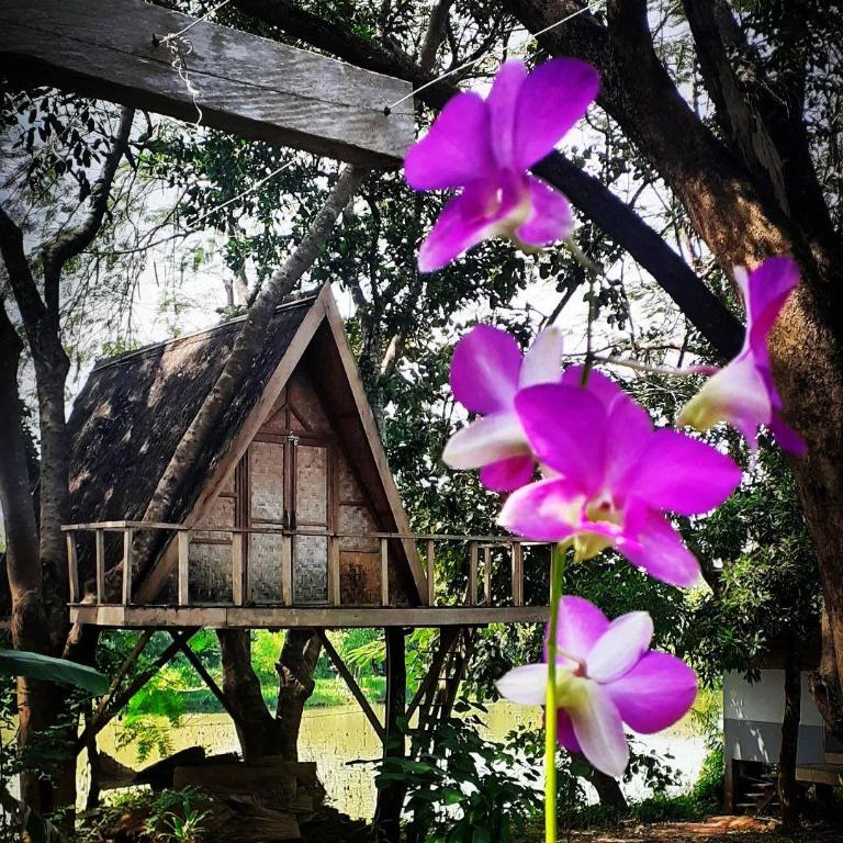 Fandee Island Treehouses Tiny Houses & Zipline Tad Lo Boloven Loop Pakse in Salavan, Laos