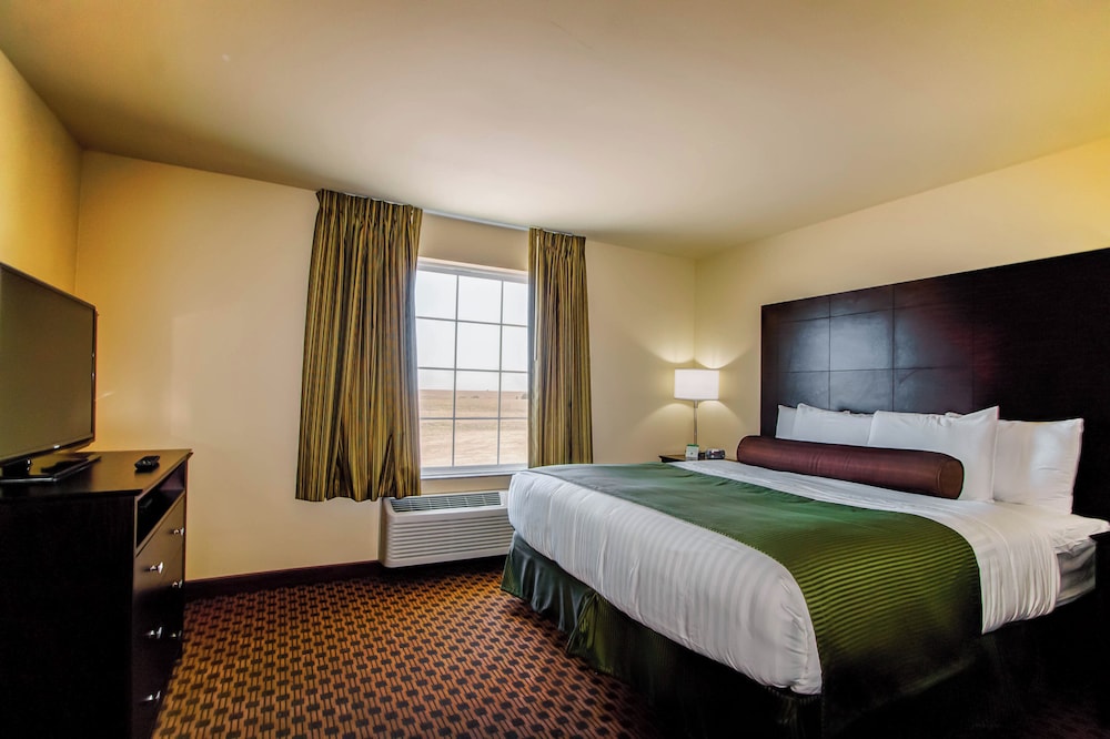 Cobblestone Inn & Suites Eads - photo 16
