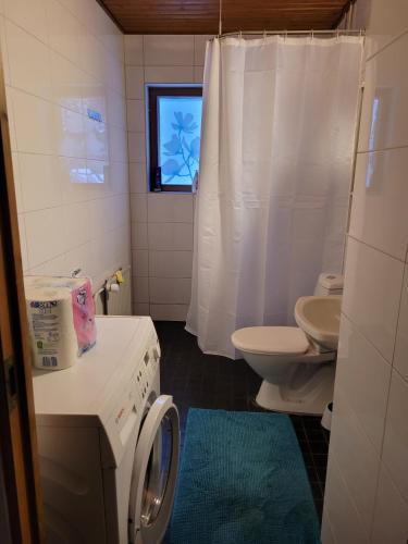 Harjukatu in Aeaenekoski, Finland