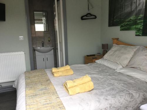 Il Castello - carbon neutral hotel in Constanta