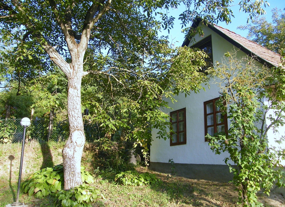Müllers Ferienhaus Leitenhof — hotel in Dobrokoz