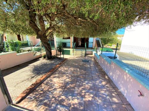 Olivastro di Tanaunella in Budoni, Italy