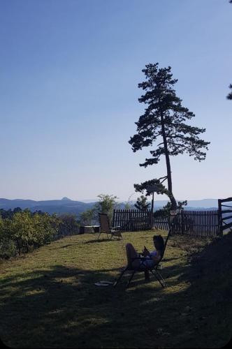Miliceva ruza in Zlatibor, Serbia