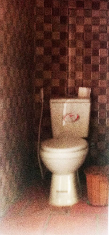 The Birdhouse — Phu Quoc — photo 4