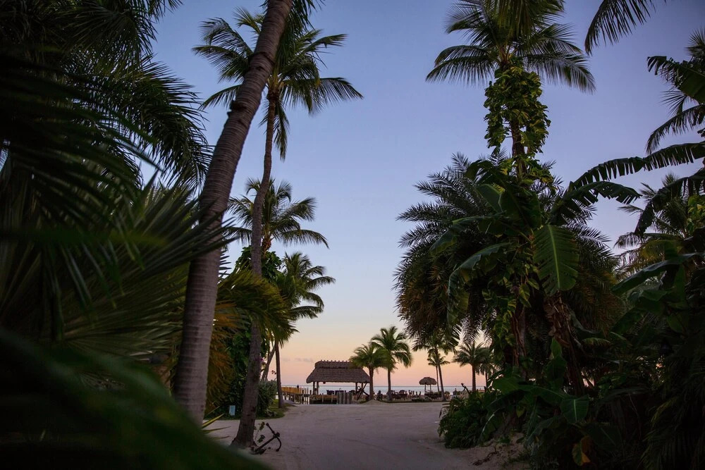 The Caribbean Resort Bird of Paradise One Bedroom One Bath - photo 8