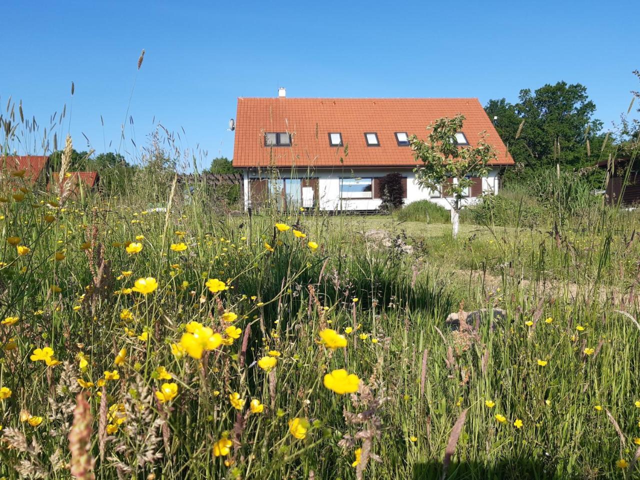 Siedlisko Gregorowo - last minute hotel in Ustka