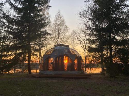 Pušų gaudyklė - last minute hotel in Unknown City