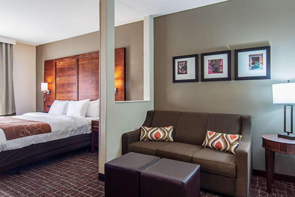 Comfort Suites NW Dallas Near Love Field - photo 11