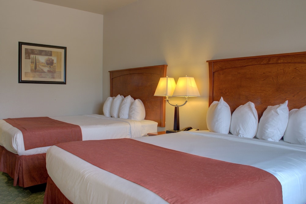 Allington Inn & Suites - photo 11