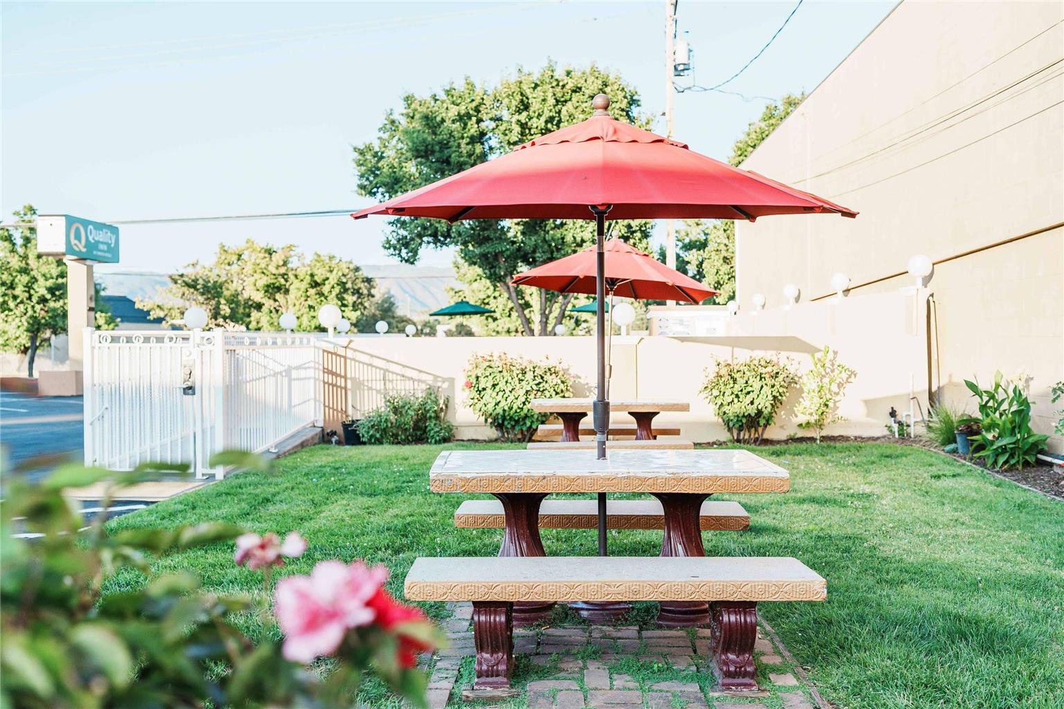 Quality Inn Ukiah - photo 82