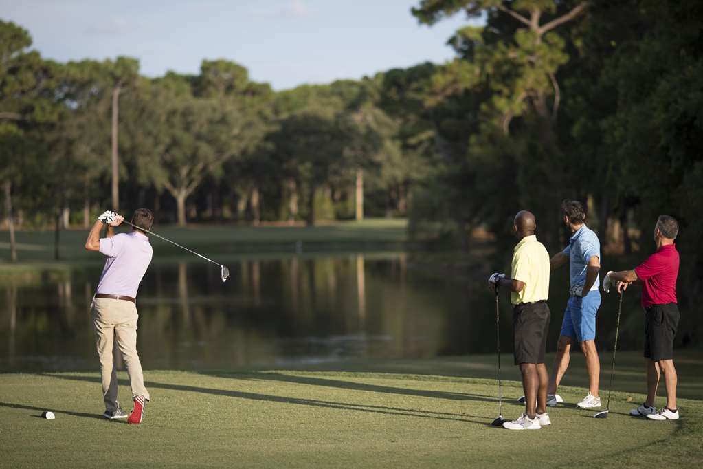Innisbrook Resort - photo 9