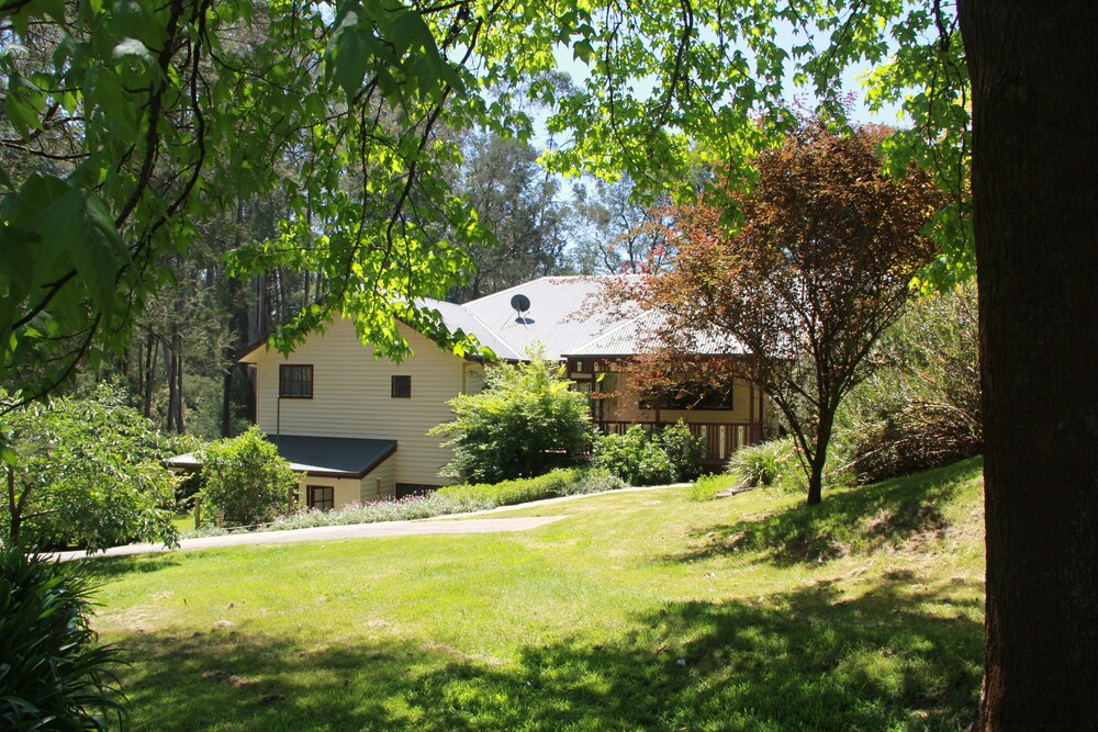 Fernglade On Menzies — Emerald