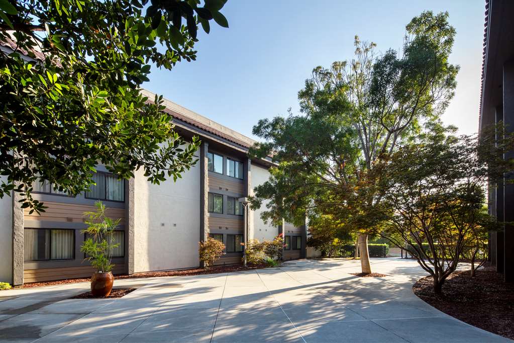 Sonesta Silicon Valley - photo 45