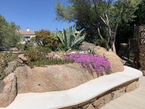 L Olivastro Appartamenti A Porto Cervo — Porto Cervo