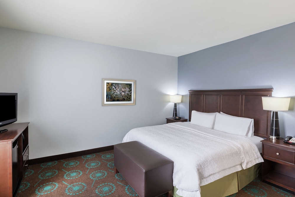 Hampton Inn & Suites Shreveport Bossier City Airline Drive - photo 13