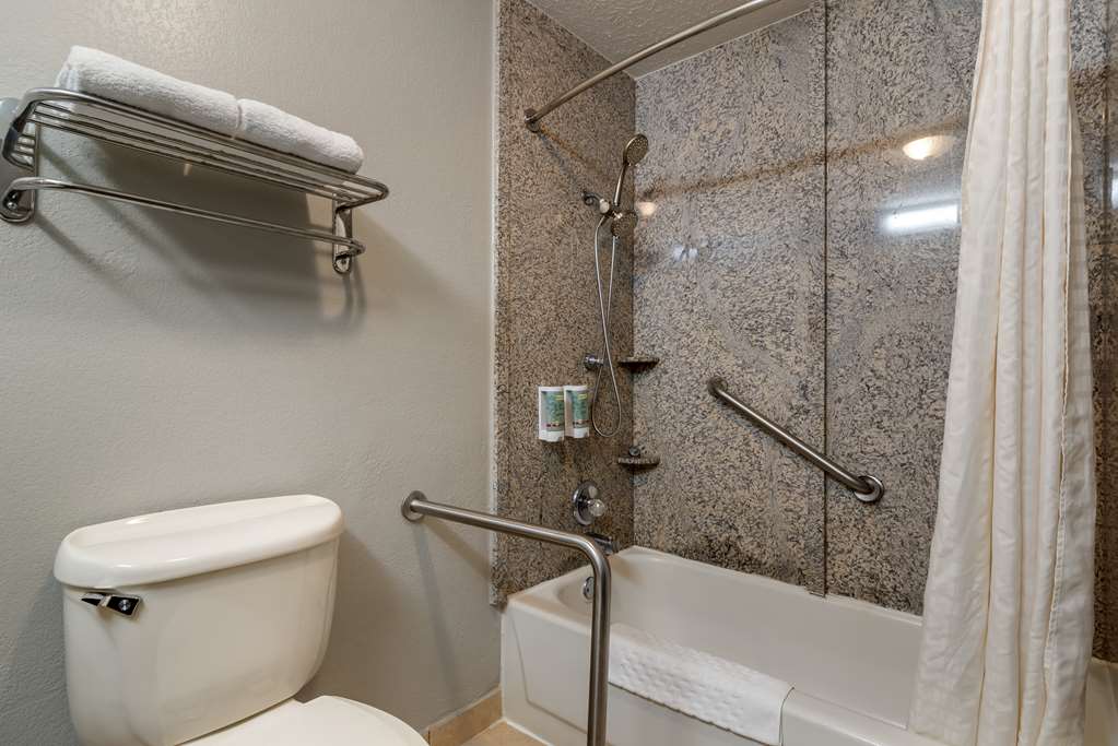 Best Western Auburn Opelika Inn - photo 25