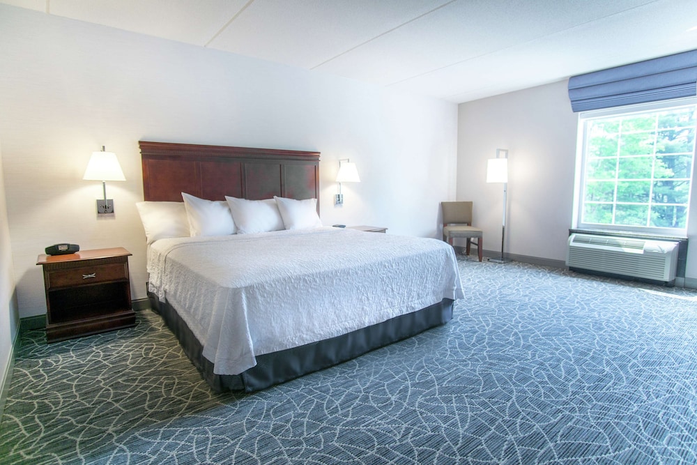 Hampton Inn & Suites Berkshires Lenox - photo 18