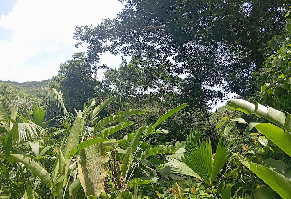 Cabaña Nuisuni in Dibulla, Colombia